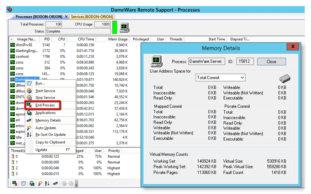 Dameware Remote Support